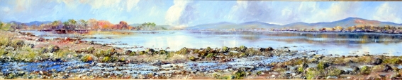 Kenmare Bay 2