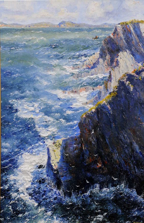 Rocky shore ,inis Turk
