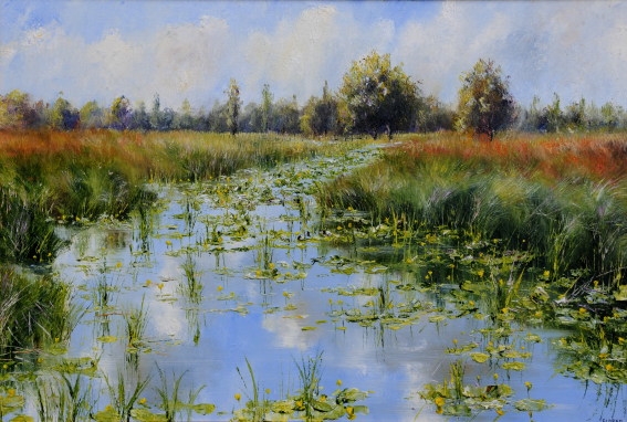 Yellow Waterlillys 1