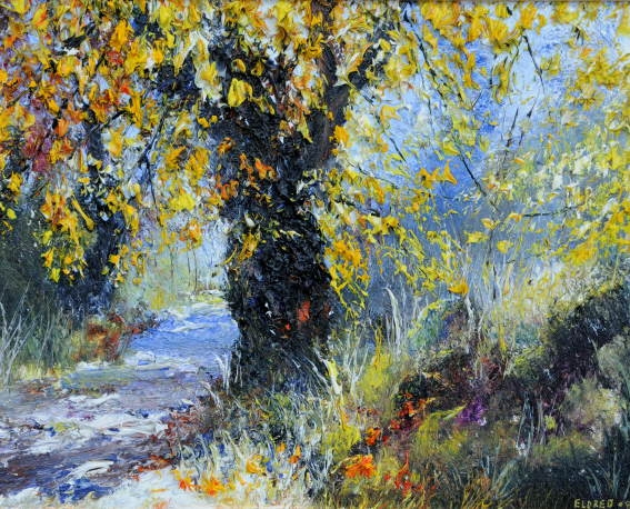 Autumn Light 3