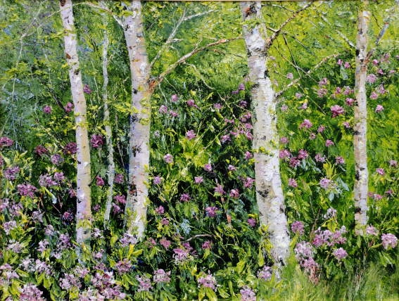Silver Birch and Rhododendron 3.