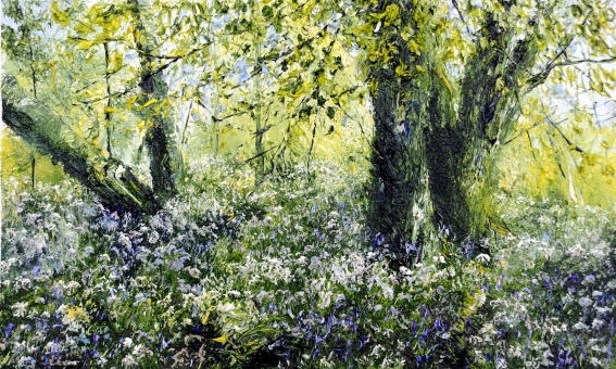 Wild Garlic and Bluebells 1