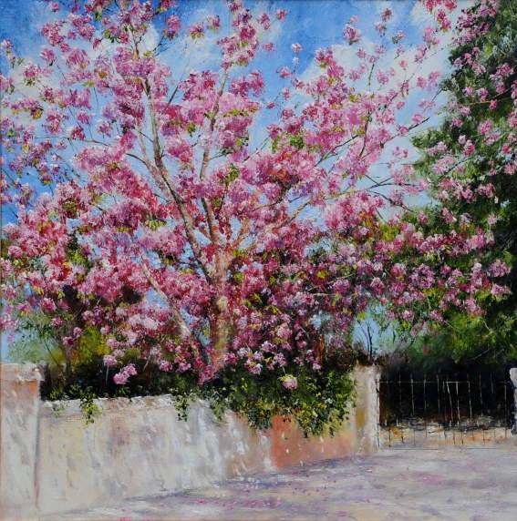Cherry Blossom, Kilarney.