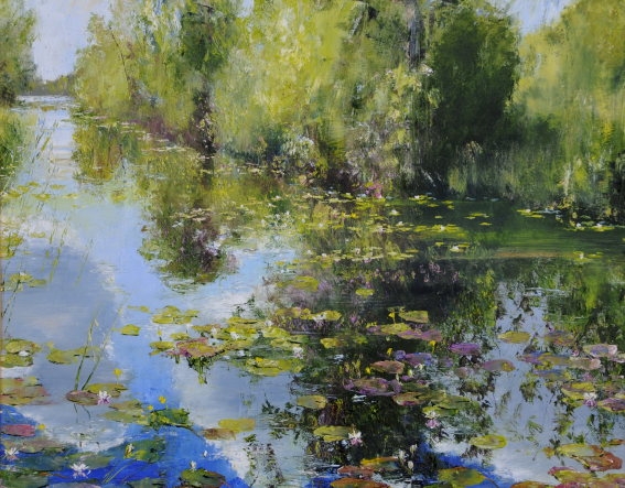 water lilly reflections