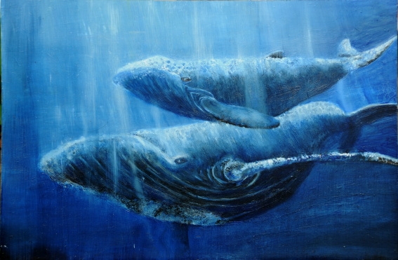 Mother And Calf, Humpback Whales