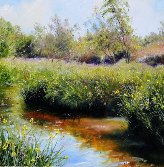Iris Stream 2.