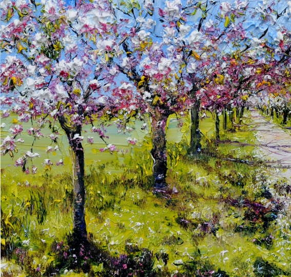 Cherry Avenue 5