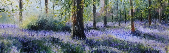 Bluebell Light..