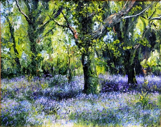 Oaks and Bluebells 5,