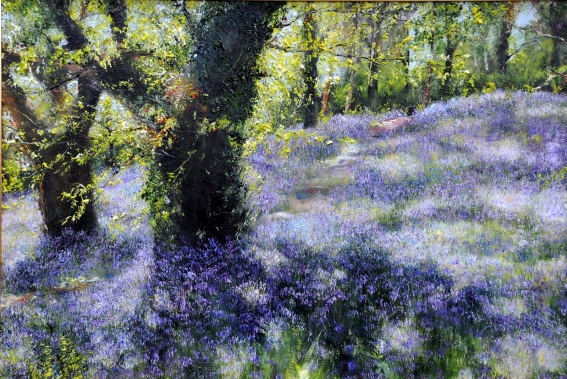 Oaks and Bluebells 4