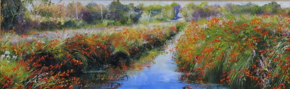 Montbretia and Purple Loostrife Reflections 2 ,.