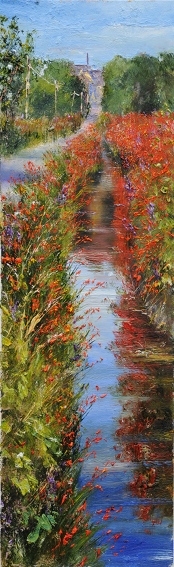 Monbretia Reflections 8 .,Dingle Peninsula