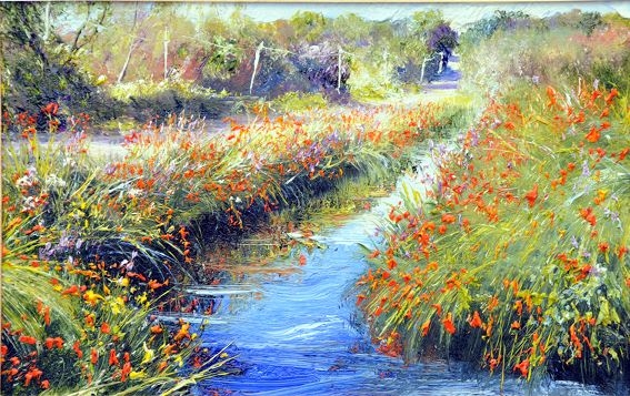 Monbretia Reflections 9 .,Dingle Peninsula