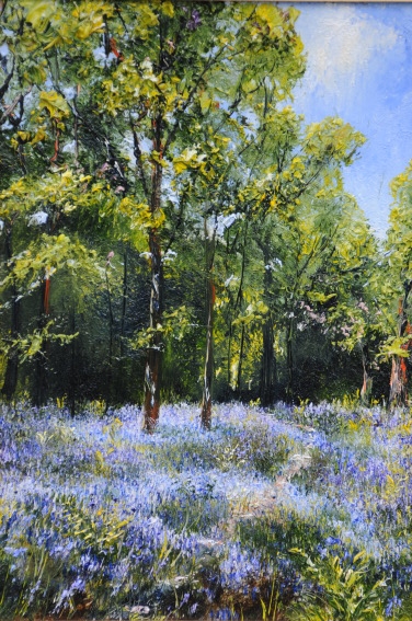Sessile Oak and Bluebells