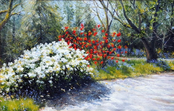 Azalia, Rhododendrons, and Bluebells.