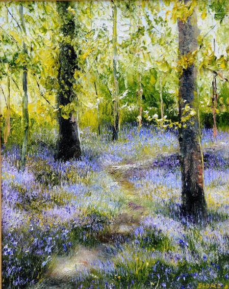 Path Through the Bluebell Woods