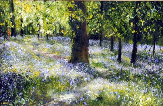Bluebell Light 4..