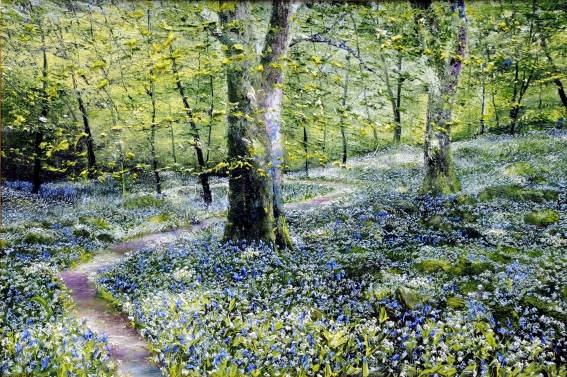 Wild Garlic,Beech Trees, and Bluebells.,