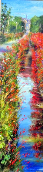 Montbretia Reflections ..,,