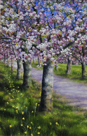 Cherry Bloom