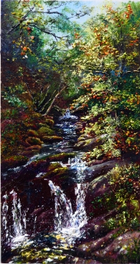 Leafy Light- Torc Waterfall