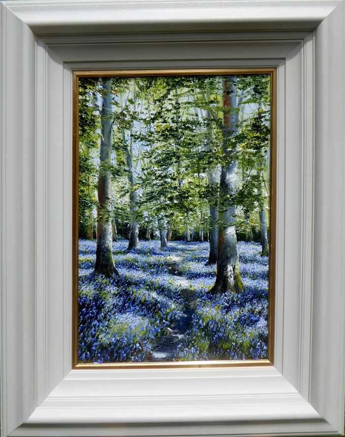 Bluebell Woodland.. Killarney