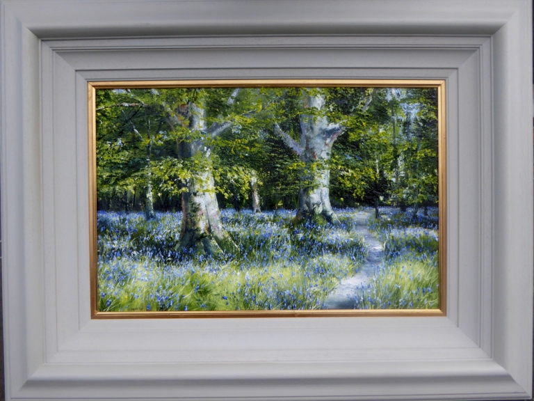 Bluebells and Beech Trees.Killarney.,.
