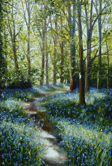 The Bluebell Woods , Killarney. Ireland