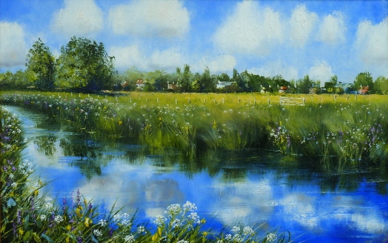 Riverbank Wildflowers, the river Ouse , Norfolk