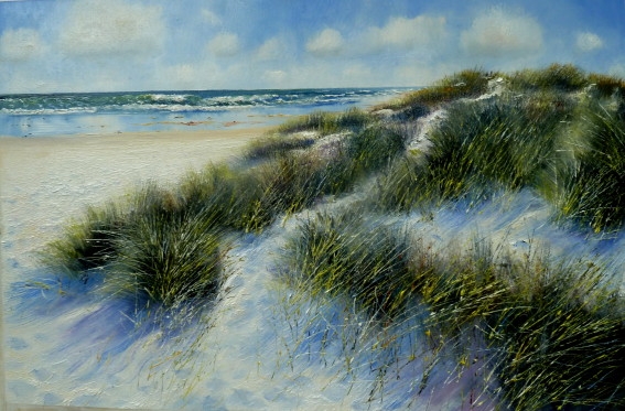 Gulls and Dunes
