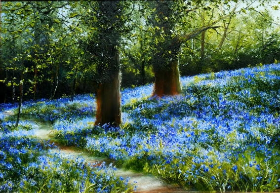 Oaks and Bluebells, Killarney