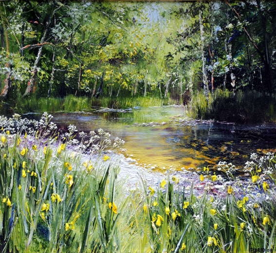 Flag Iris 5 River Deenagh