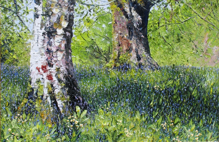 Silver Birch and Bluebells 24